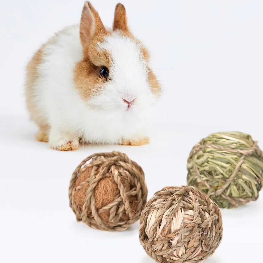 Pelota Mordedora de Hierba para Mascotas Pequeñas, foto 3 de 14