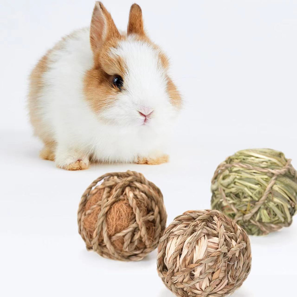 Pelota Mordedora de Hierba para Mascotas Pequeñas, foto 3 de 14