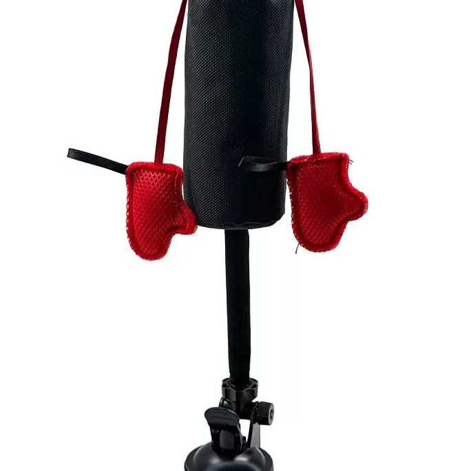 Juguete interactivo con muelle para gatos