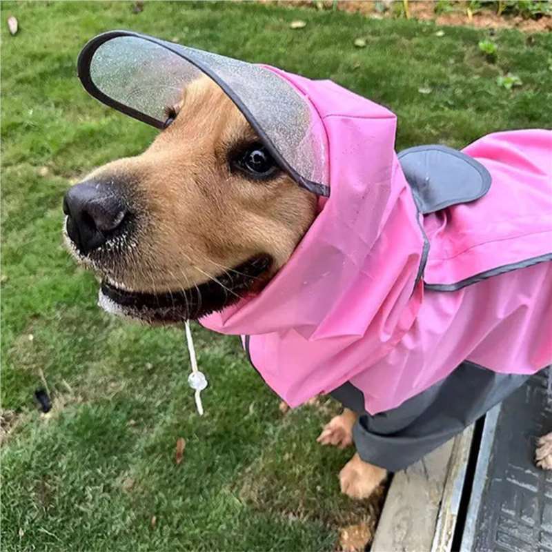 Chubasquero impermeable de cuatro patas con capucha para perros