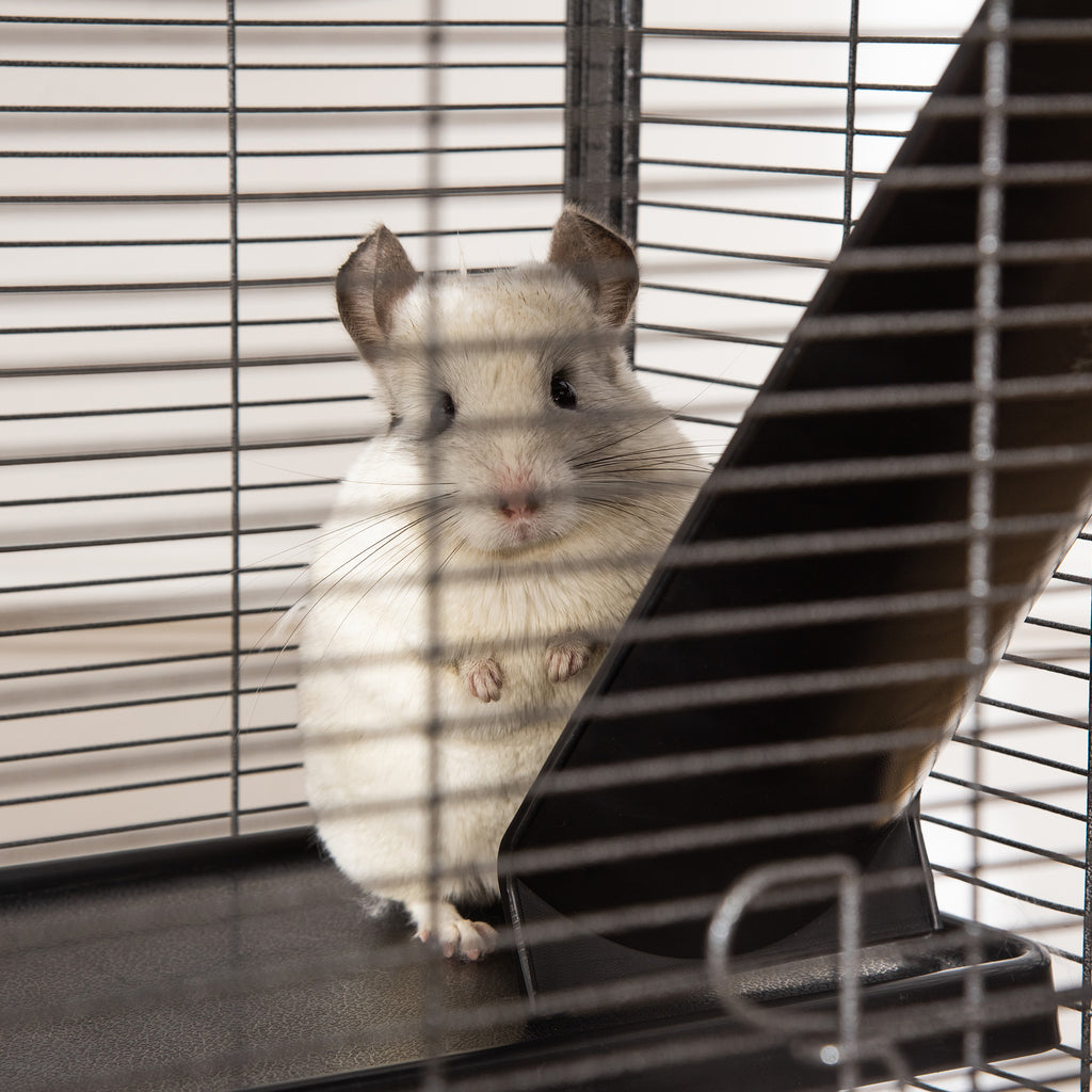 Jaula de 4 niveles con ruedas y hamaca para hurones y chinchillas