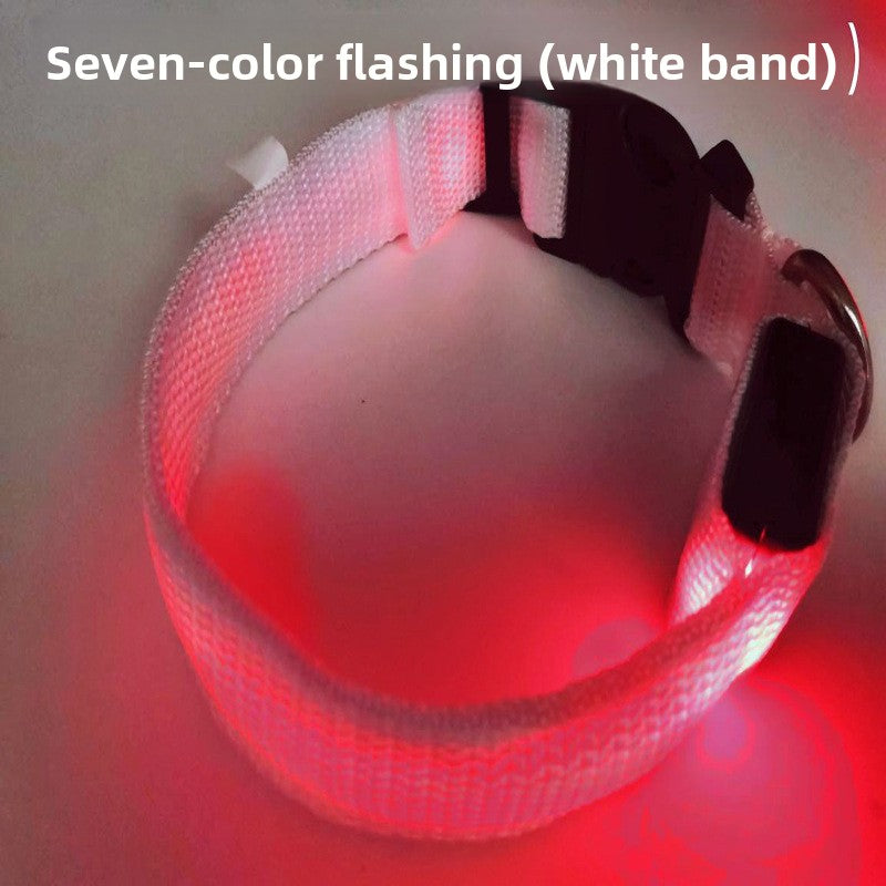 Collar LED recargable USB para perros