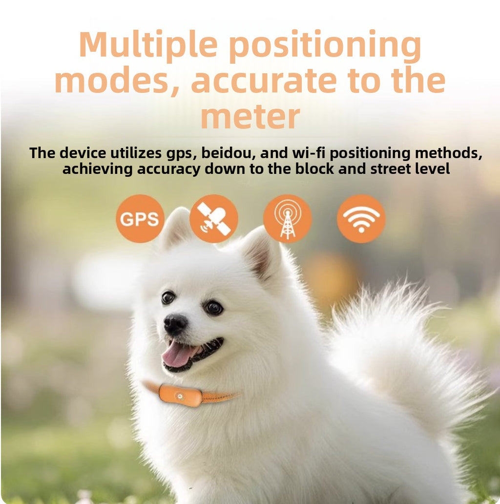 Rastreador GPS para Perros y Gatos con Alertas, foto 2 de 6