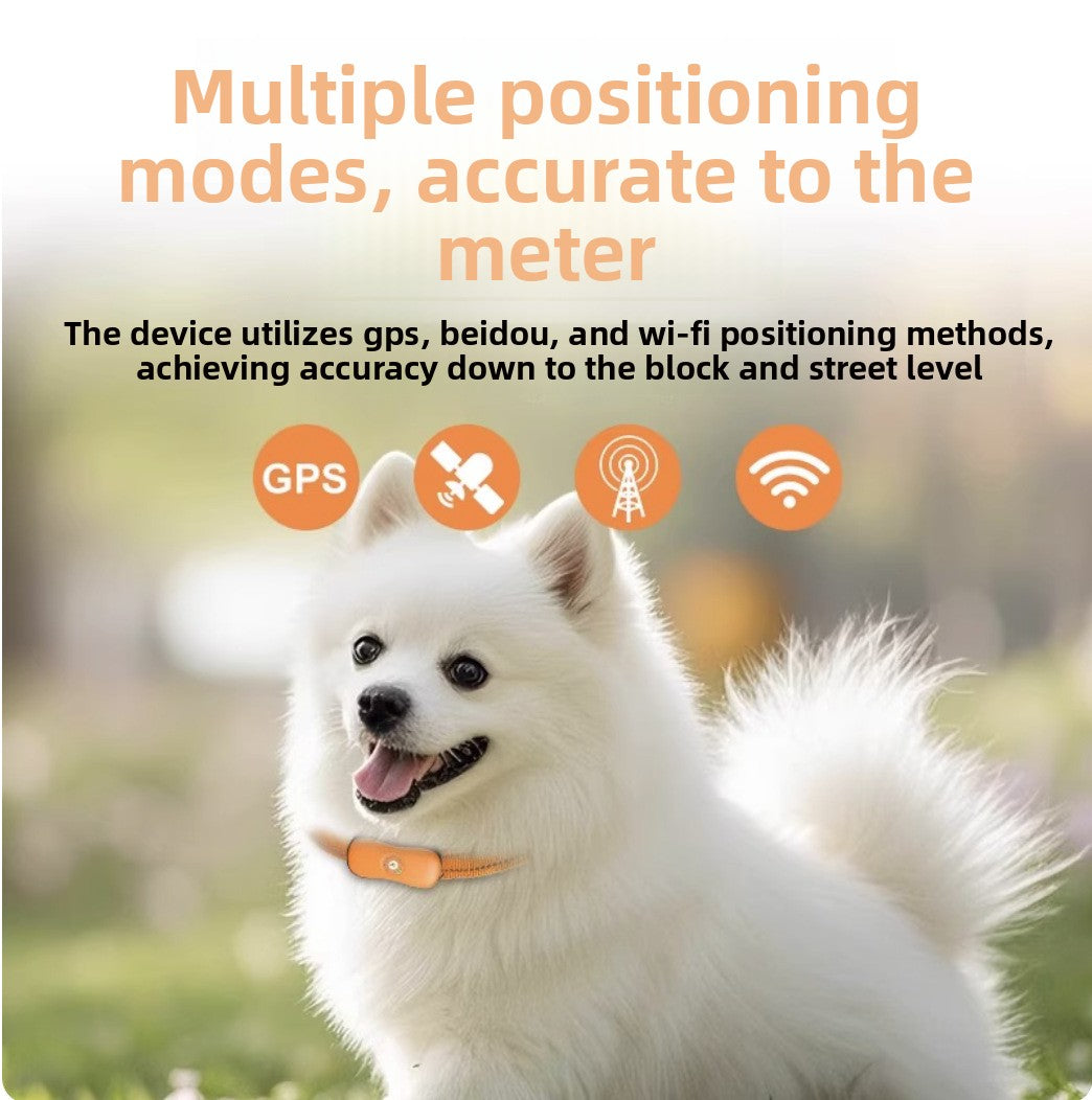 Rastreador GPS para Perros y Gatos con Alertas, foto 2 de 6