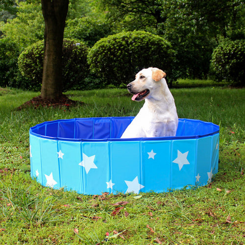 Bañera plegable portátil para perros y gatos, foto 2 de 11