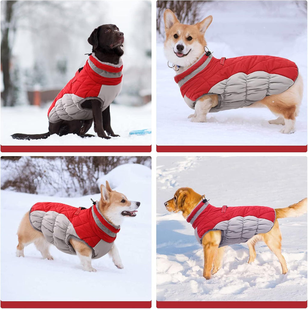 Abrigo de invierno cortavientos forrado de polar para perros