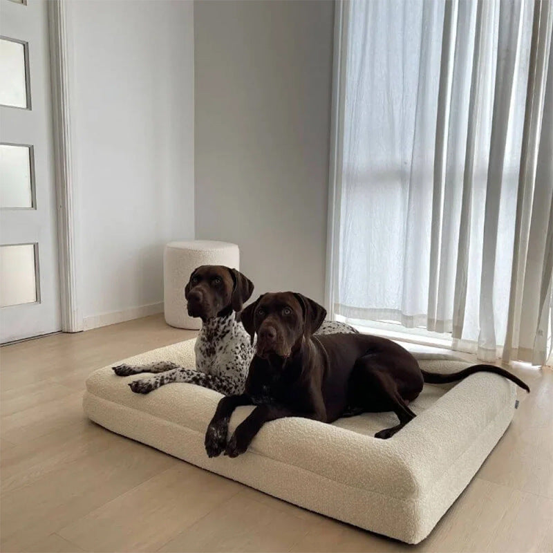Cama impermeable viscoelástica para perros