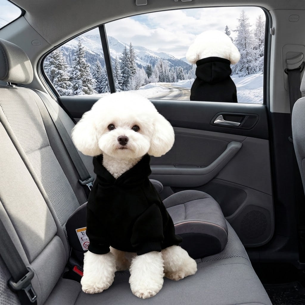 Bichón con sudadera negra de forro polar con capucha en el coche camino a la nieve