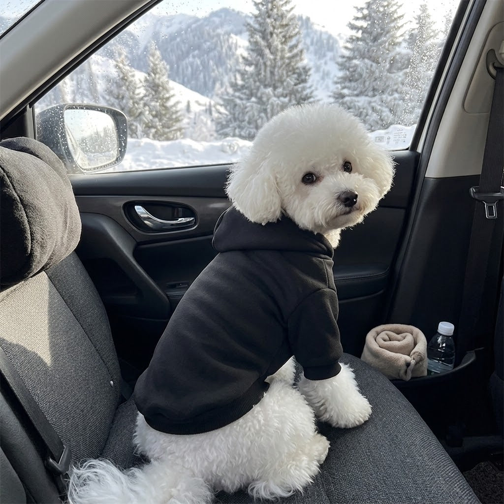 Perro pequeño con sudadera polar negra con capucha en el asiento del coche