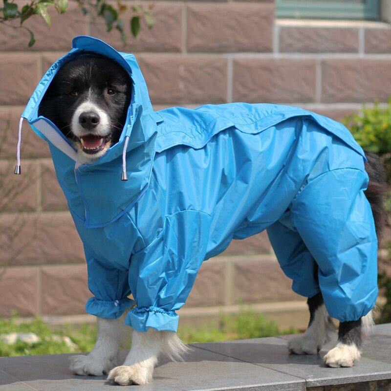 Chubasquero impermeable de cuatro patas con capucha para perros