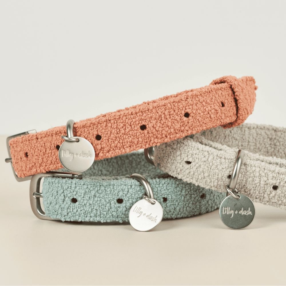 Collar de poliéster bouclé para perros con placa identificativa, foto 7 de 9
