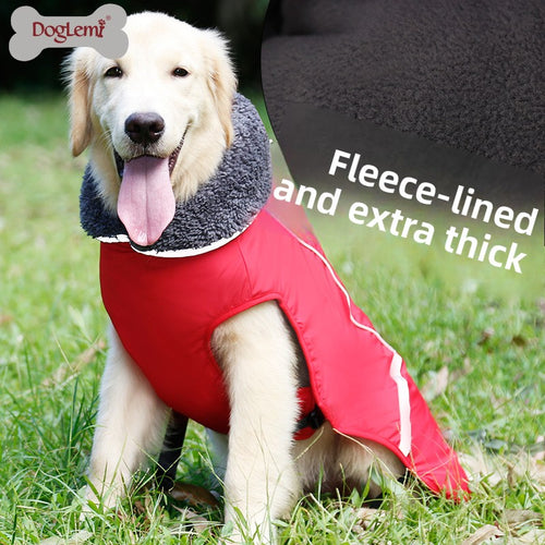 Abrigo de invierno para perros