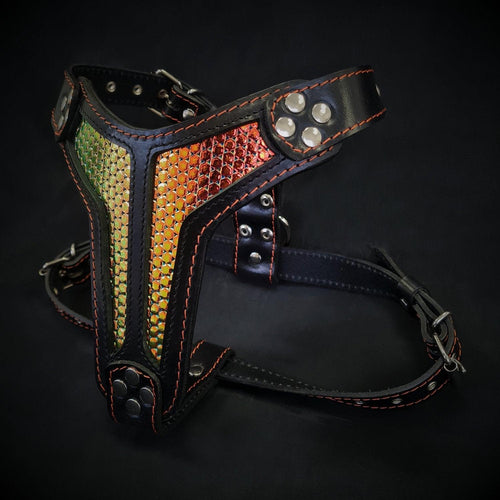 The ''D`Albertis'' harness Medium Size-0