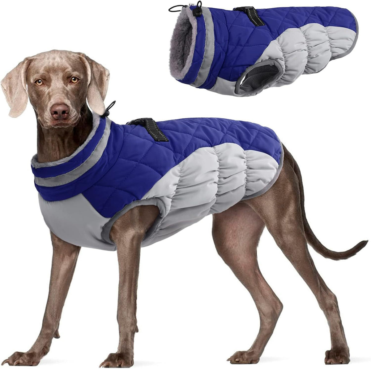 Abrigo de invierno cortavientos forrado de polar para perros