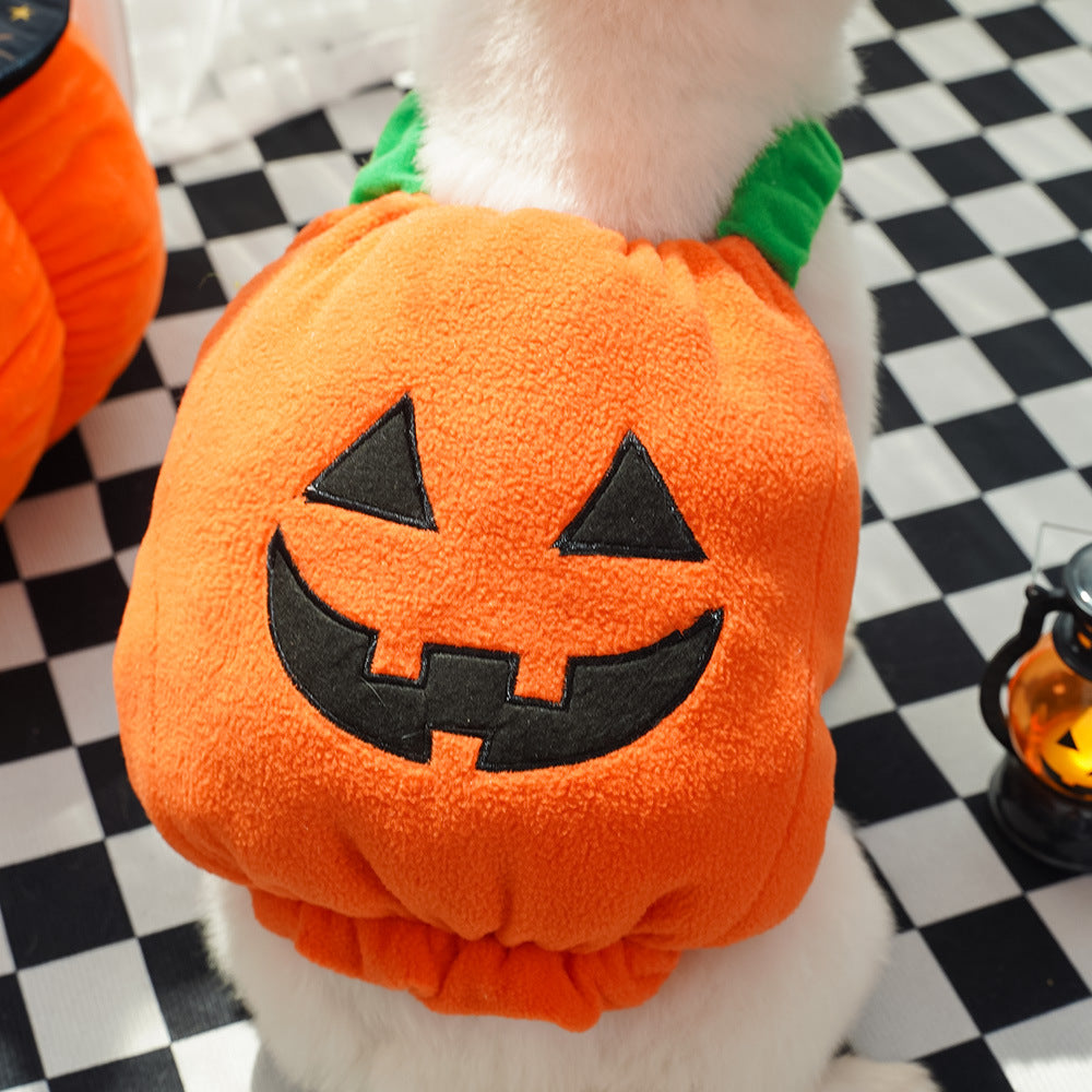 Disfraz de Halloween de Calabaza para Perros y Gatos – Chaleco con cabeza de calabaza