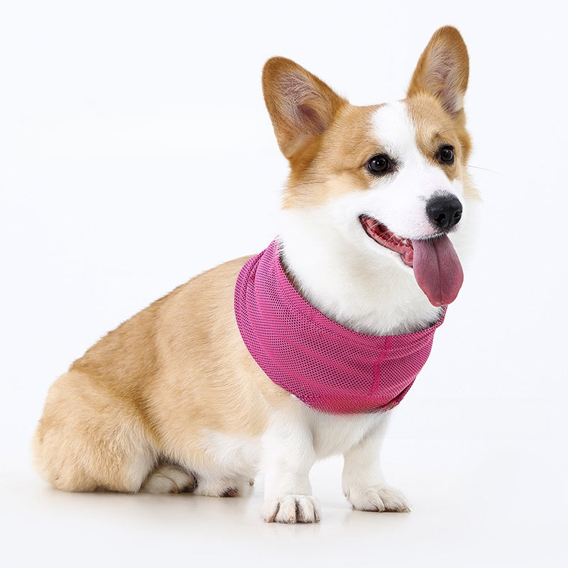 Bufanda refrescante para perros y gatos