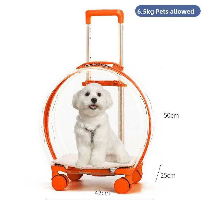 Transportín mochila transparente con ruedas para perros y gatos
