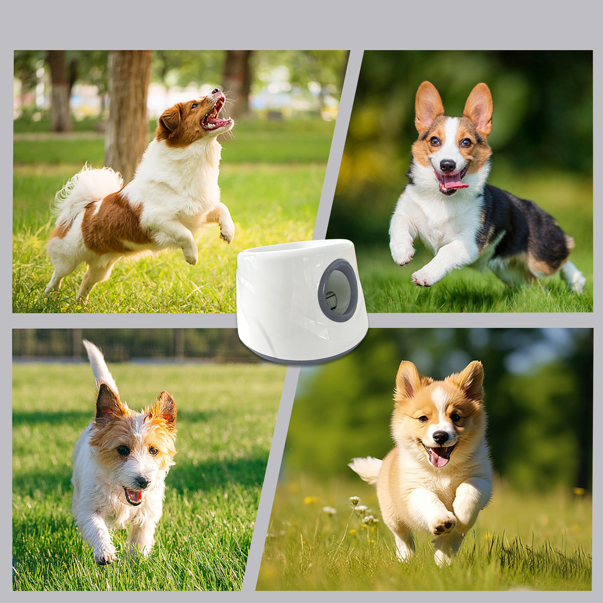 Lanzador automático de pelotas recargable para perros