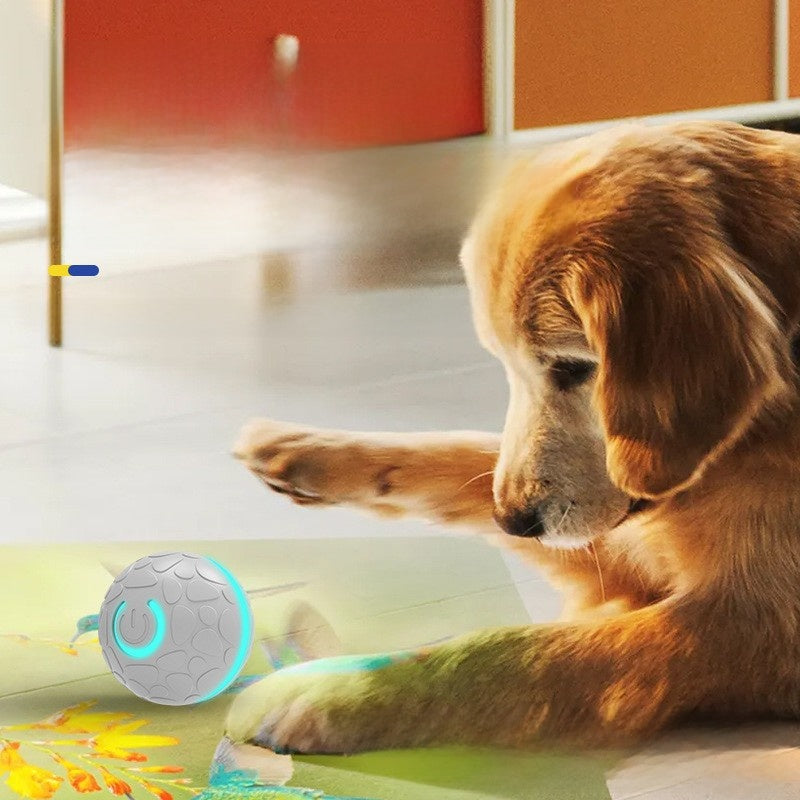 Pelota interactiva eléctrica que rebota sola para perros y gatos, foto 3 de 6