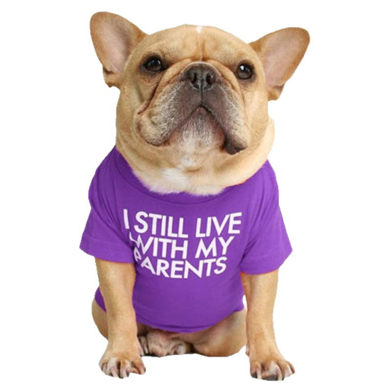 Camiseta de Cuello Redondo para Perros y Gatos, foto 5 de 10