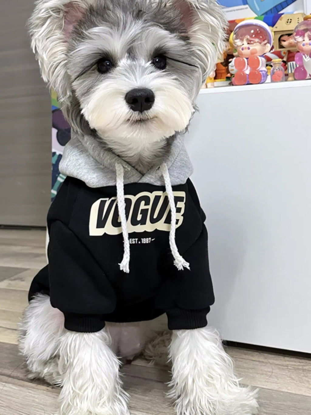Sudadera con capucha para perros y gatos, foto 4 de 25