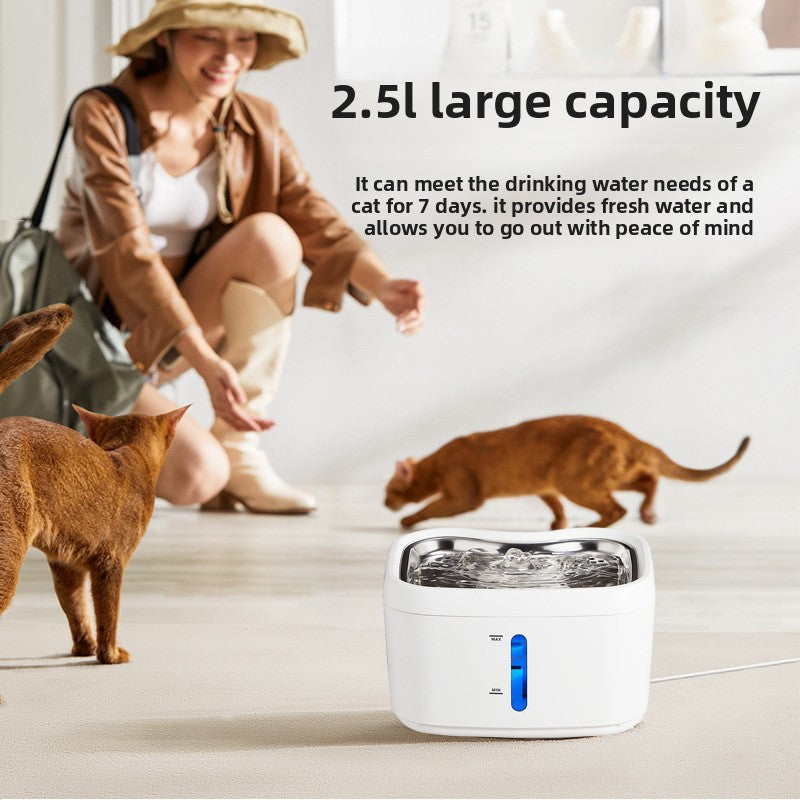 Fuente automática de agua filtrada para perros y gatos