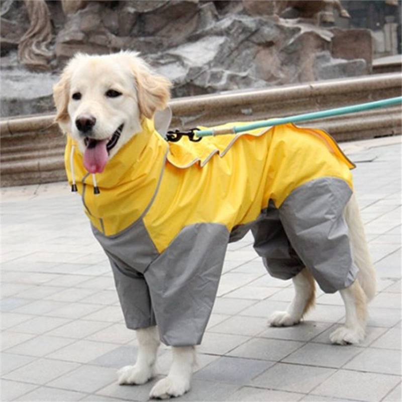 Chubasquero impermeable de cuatro patas con capucha para perros