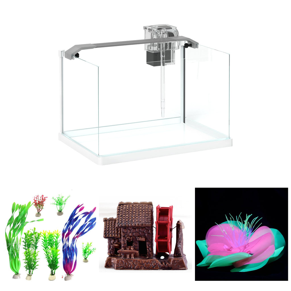 Acuario de 20 litros decorado con plantas, casita y coral