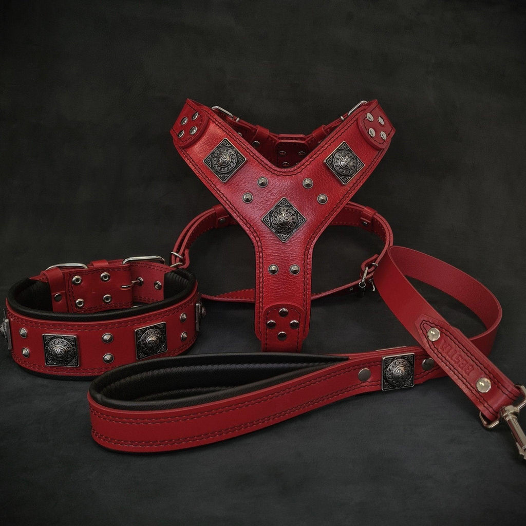 Set Bestia Eros rojo: arnés, collar y correa para perros grandes, de M · cuello 42,5–50 cm a XXL · cuello 65–75 cm