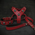 Set Bestia Eros rojo: arnés, collar y correa para perros grandes, de M · cuello 42,5–50 cm a XXL · cuello 65–75 cm