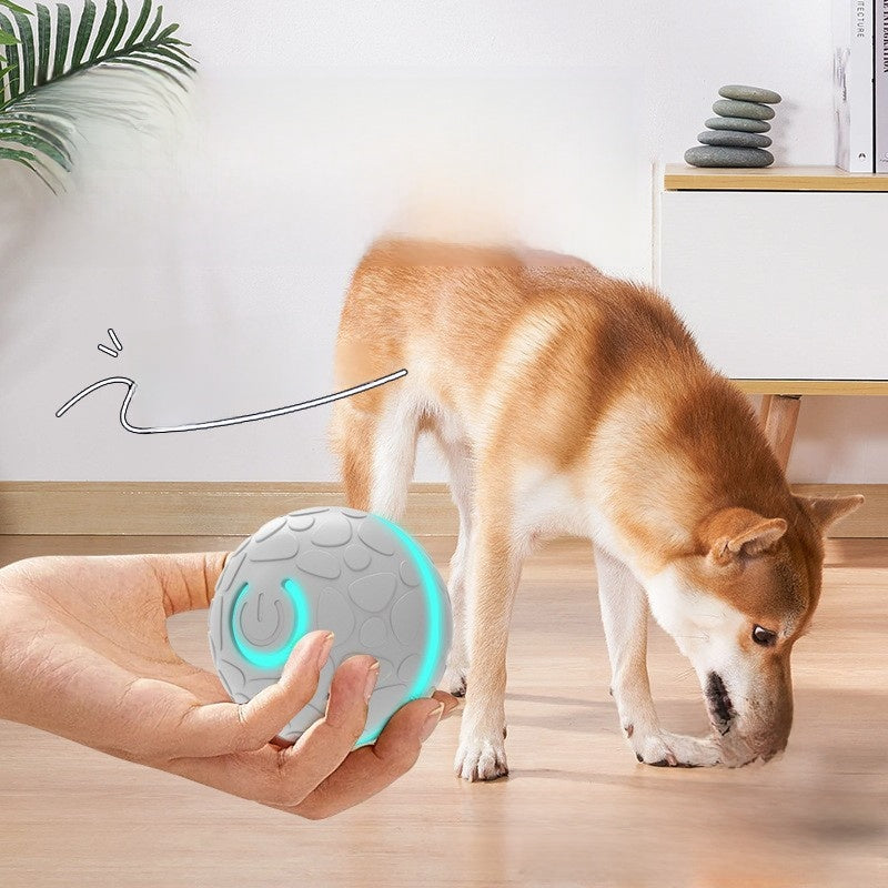 Pelota interactiva eléctrica que rebota sola para perros y gatos