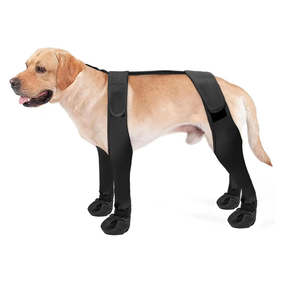 Botas impermeables antideslizantes para perros