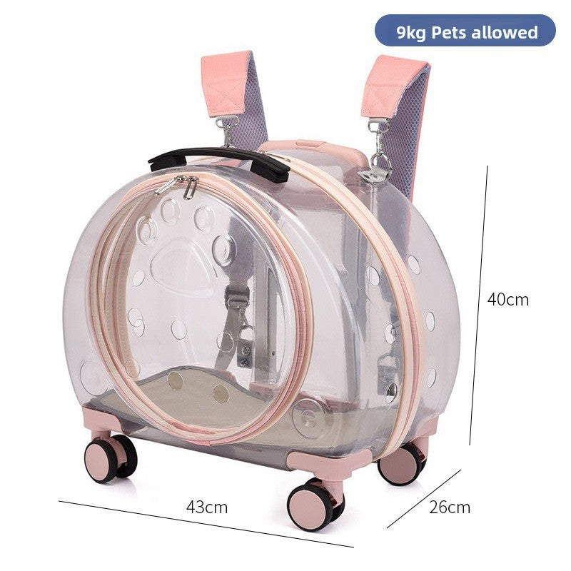 Transportín mochila transparente con ruedas para perros y gatos
