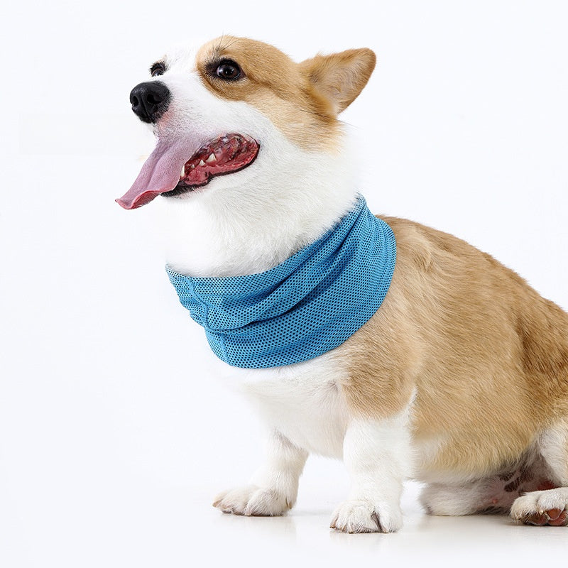 Bufanda refrescante para perros y gatos