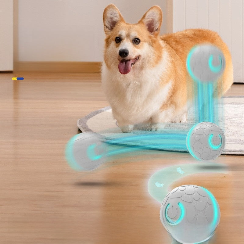Pelota interactiva eléctrica que rebota sola para perros y gatos, foto 2 de 6