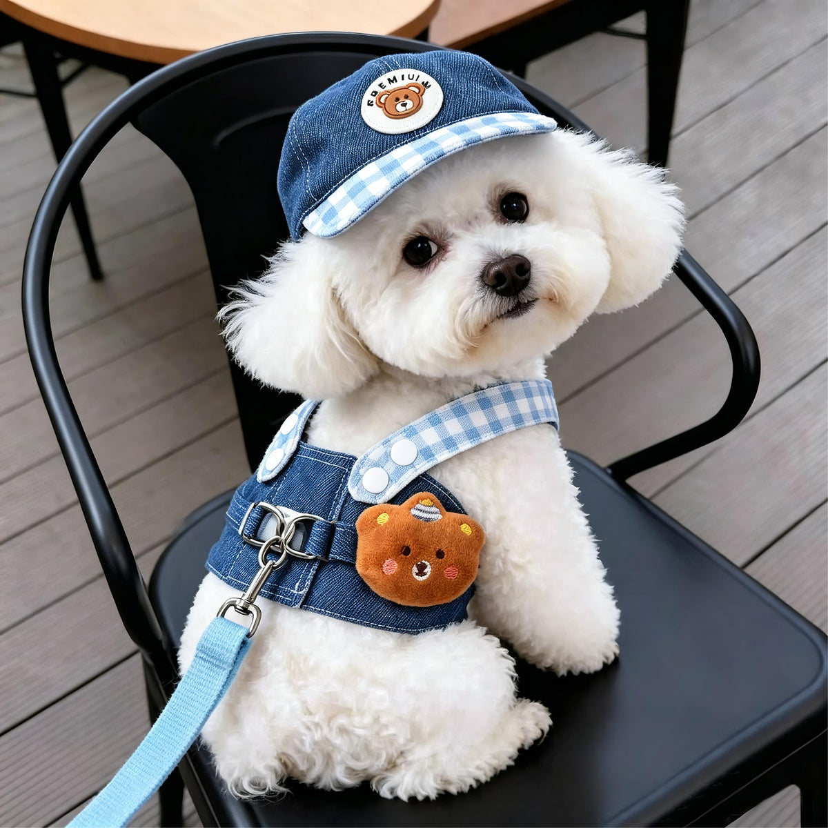 Arnés Ajustable con Correa y Sombrero para Perros y Gatos, foto 2 de 38