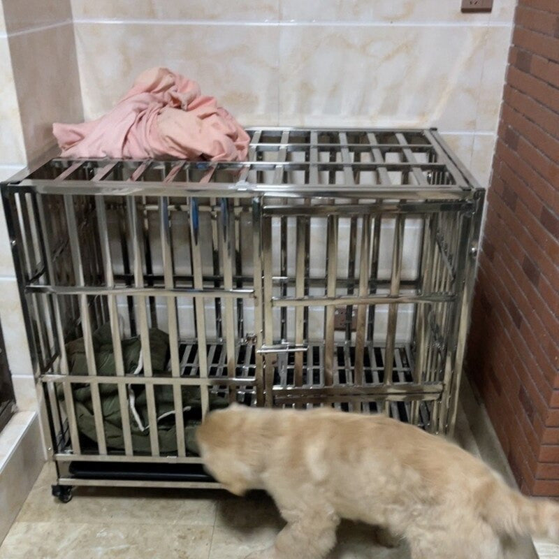 Jaula reforzada de acero inoxidable para perros