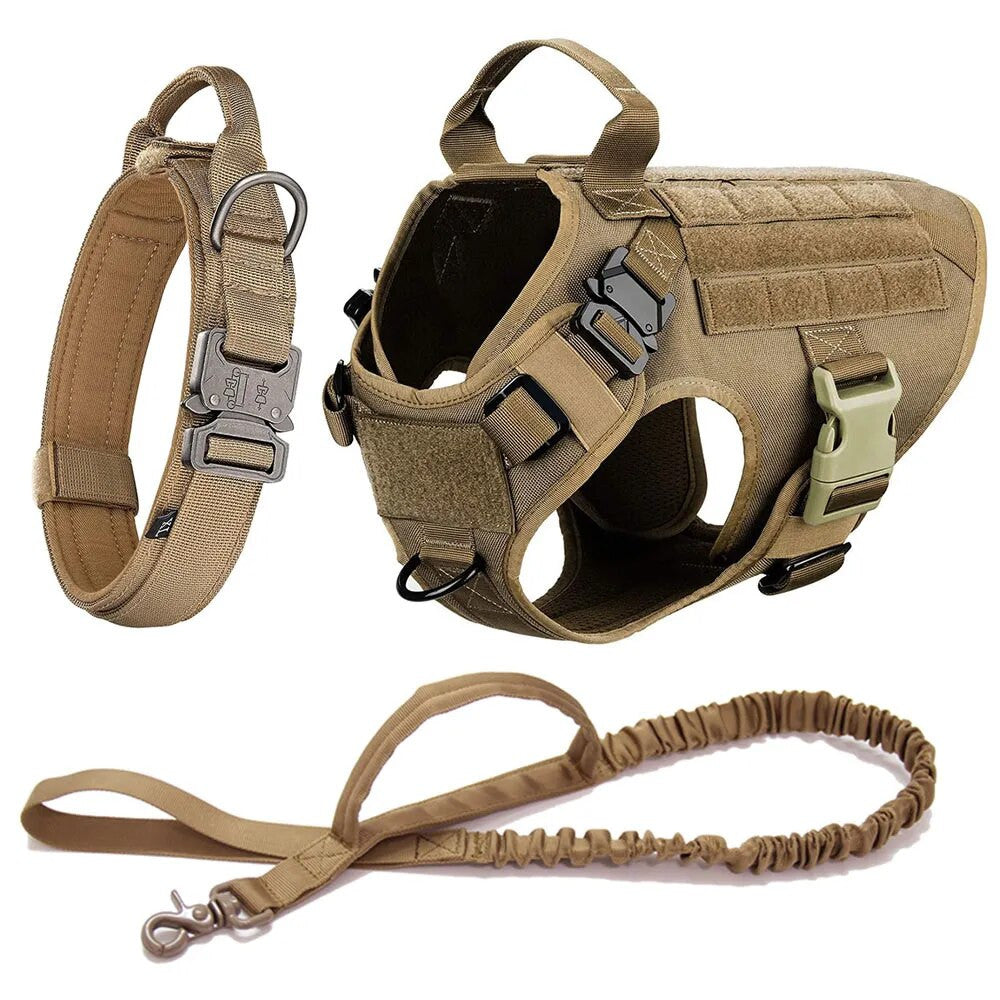 Set táctico 3 piezas para perros: arnés MOLLE, collar y correa elástica, foto 6 de 6