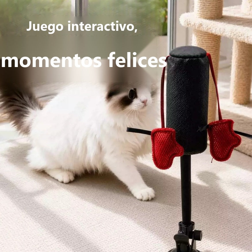 Interactive spring toy for cats