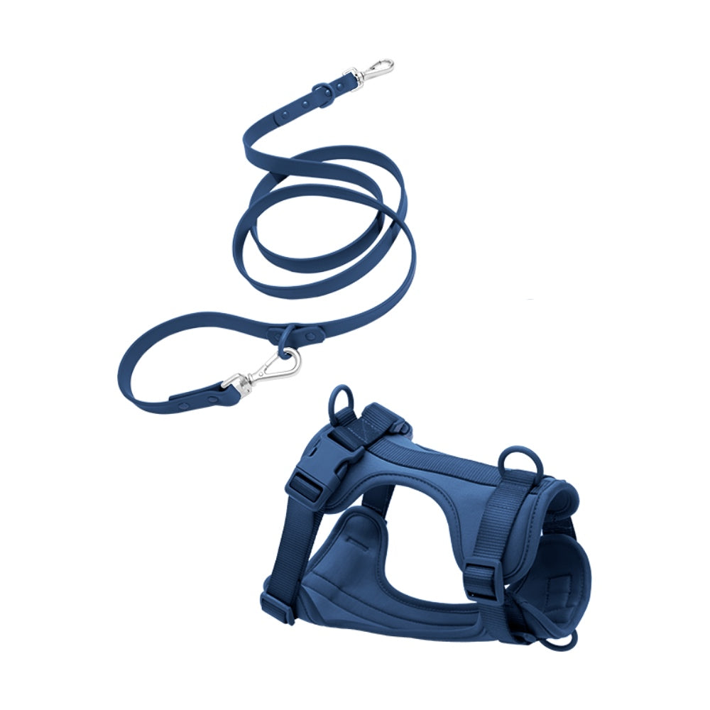 Fur & Whiskers set de arnés para perros – Midnight