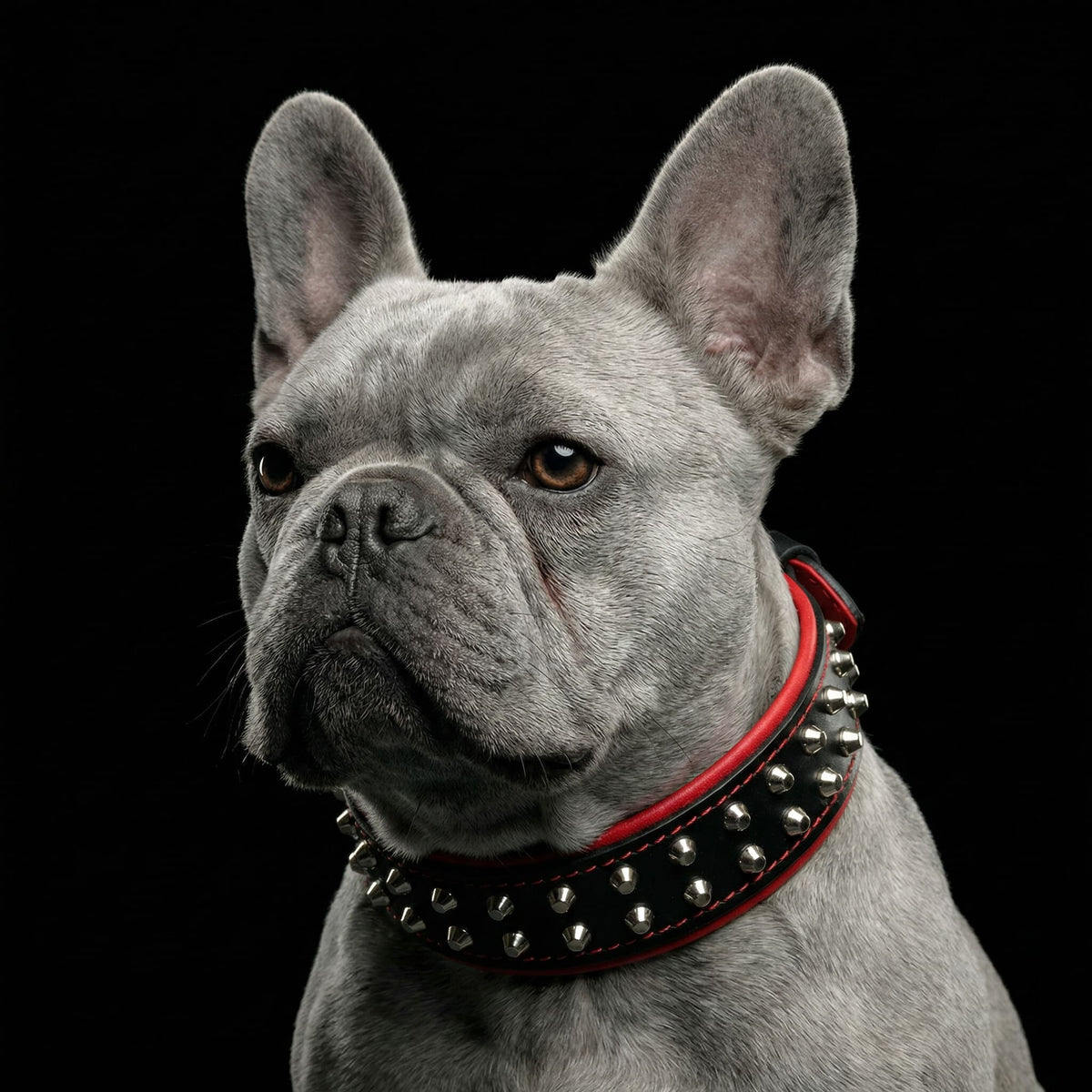 "Rocky" collar-1