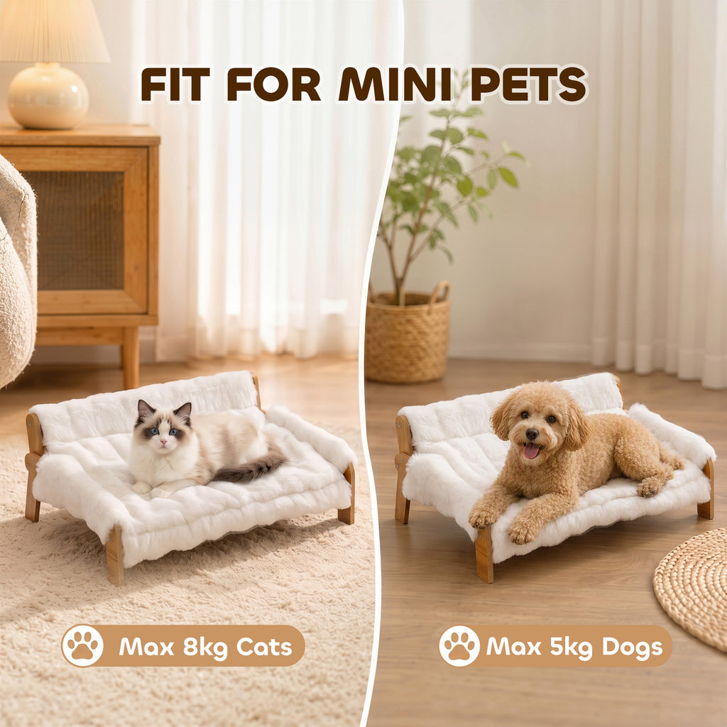 Cama elevada tipo sofá para perros y gatos pequeños