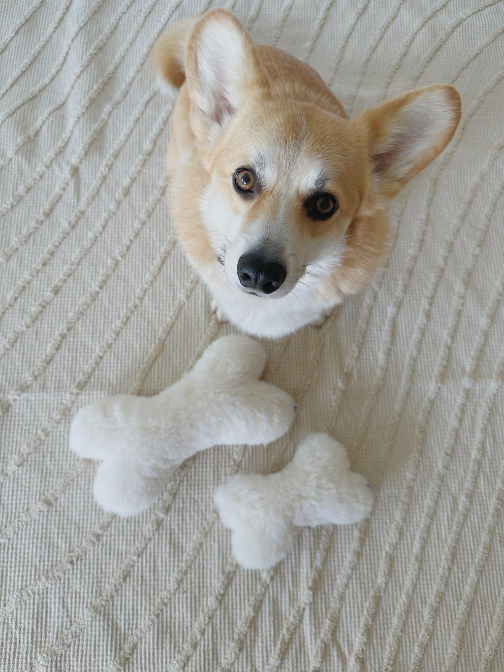 Juguete de piel de oveja en forma de hueso para perros Mellow