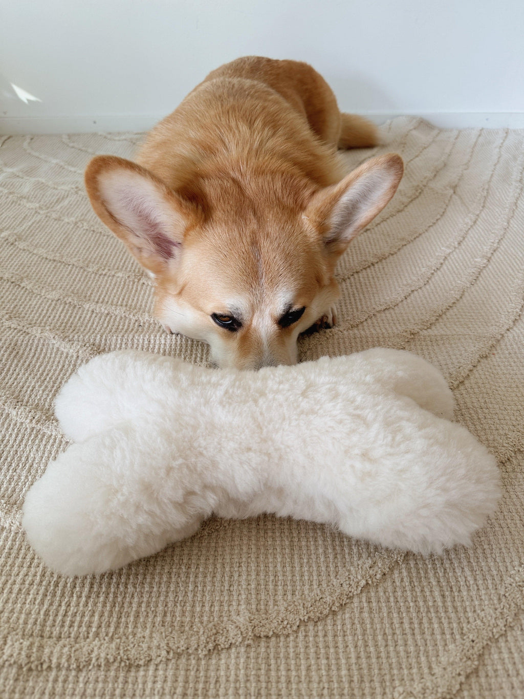 Juguete de piel de oveja en forma de hueso para perros Mellow