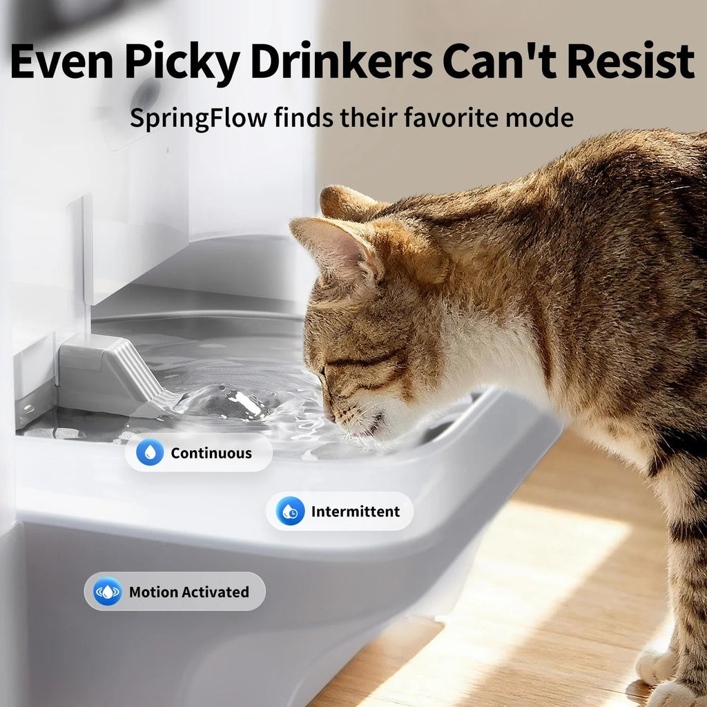 PETKIT EverSweet Ultra · Fuente de agua con cámara IA (reserva), foto 5 de 7