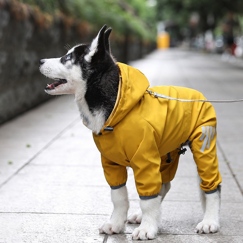 Perro con impermeable amarillo con capucha paseando bajo la lluvia