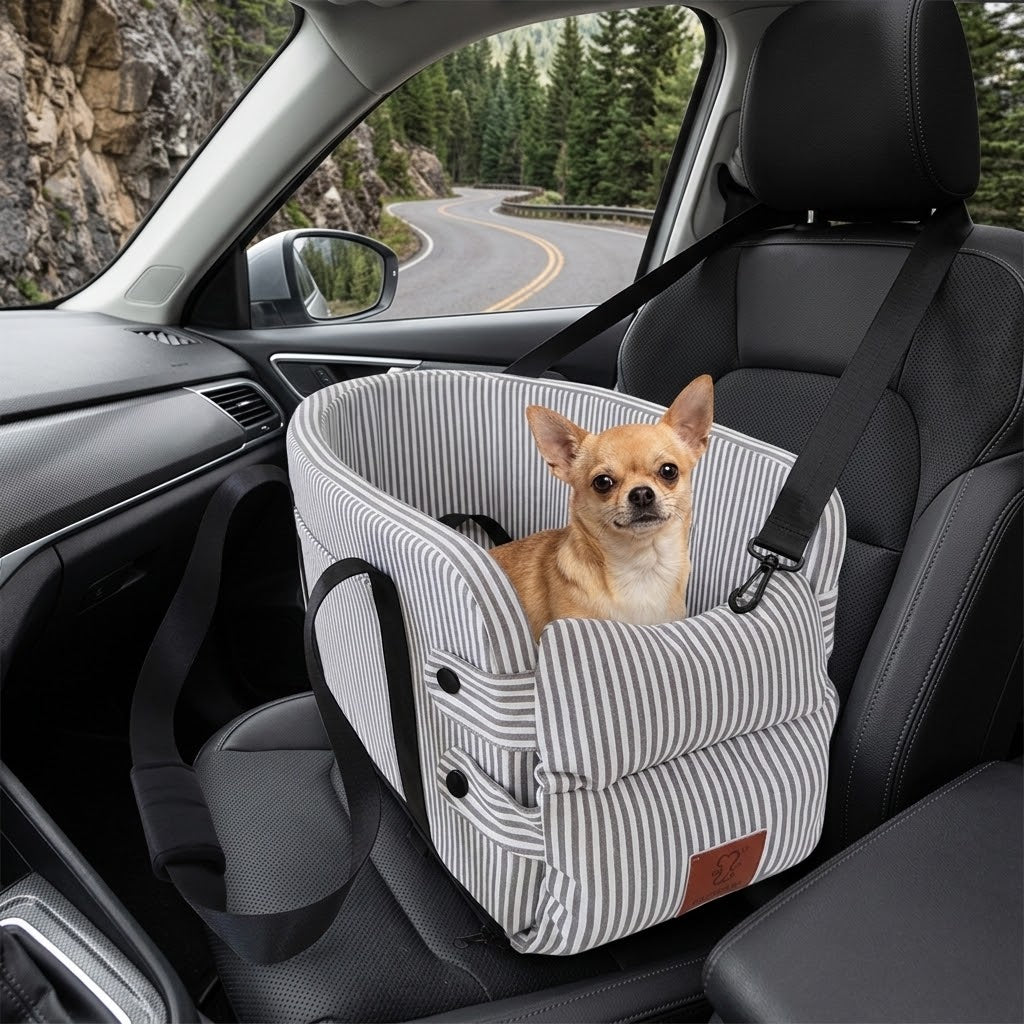 Cama elevadora para coche con chihuahua en el asiento delantero