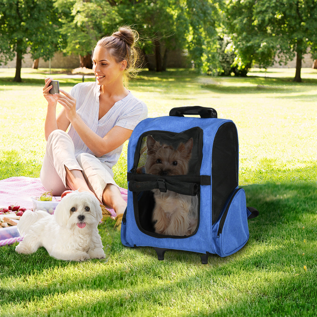 Transportín trolley 2 en 1 para perros y gatos