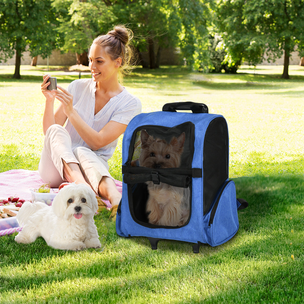 Transportín trolley 2 en 1 para perros y gatos