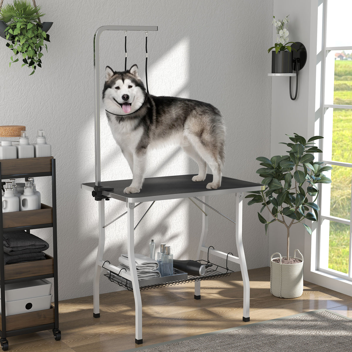 Mesa plegable de peluquería para perros con brazo ajustable